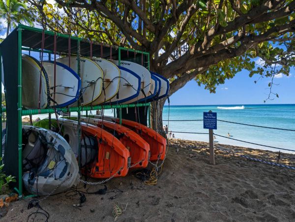 Kahana Home 1054829