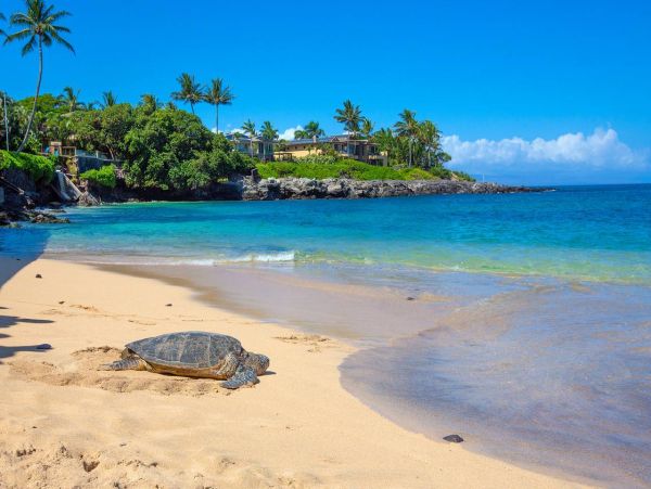 Maui Oceanfront Vacation Rental - Kahana Beachfront Condo with Views