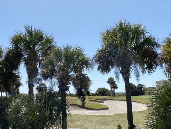Hilton Head Wonderful Stroll to Sandy Beach Delight