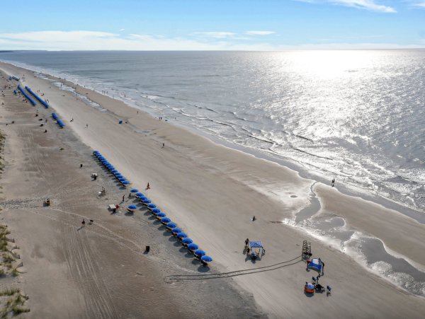 Hilton Head Vacation Rental  Luxury Palmetto Dunes Oceanfront Home with Pool