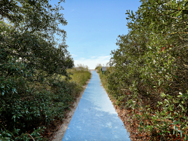 Stroll the path to Our World Class Beach Palmetto Dunes luxury Pool Home