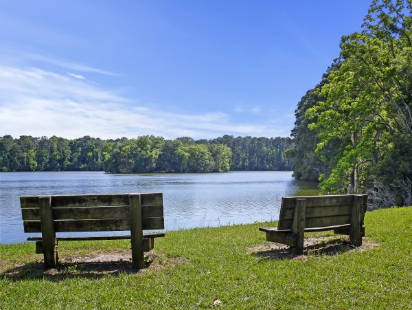 Luxury Hilton Head Vacation Rental - 7 Bedroom Golf Course Home with Private Pool