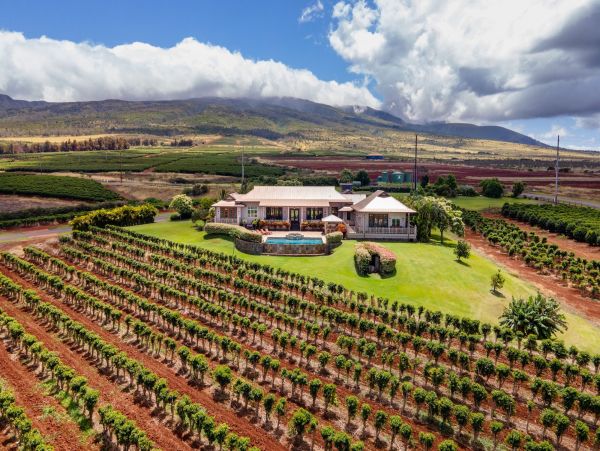 Kaanapali Home 1055227