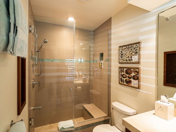 Kaanapali Home 1055229