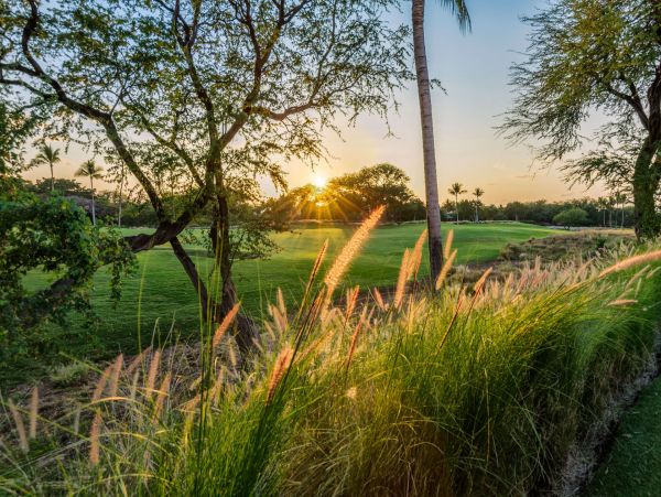 Kaanapali Home 1055235