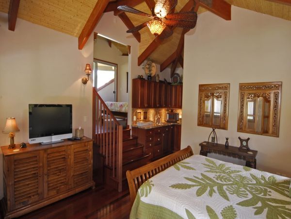 Kohala Coast  Big Island Home 1055239
