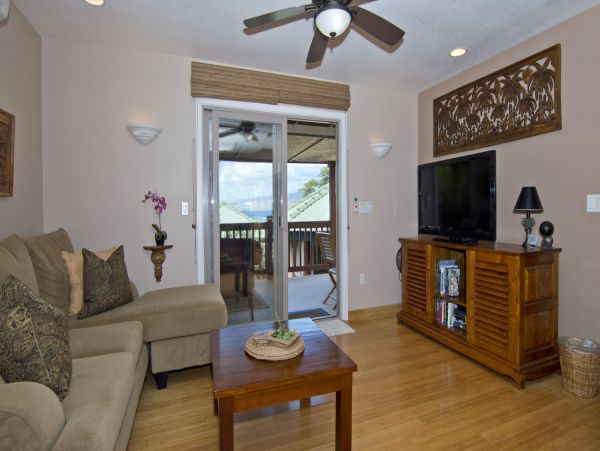 Kohala Coast  Big Island Home 1055239