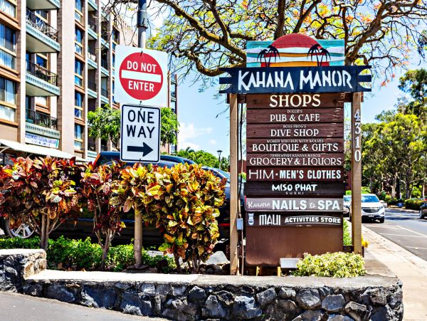 Kahana Home 1055246
