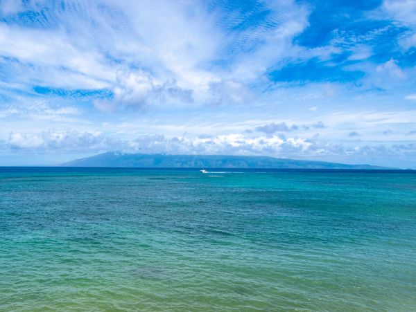 Kahana Home 1055253