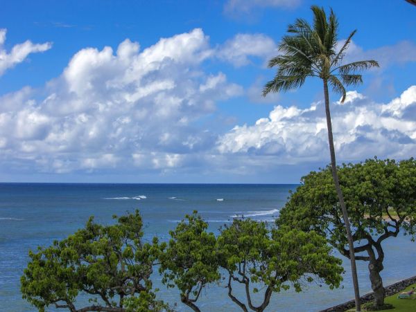 Kahana Home 1055257