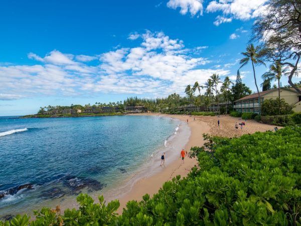 Kahana Home 1055265