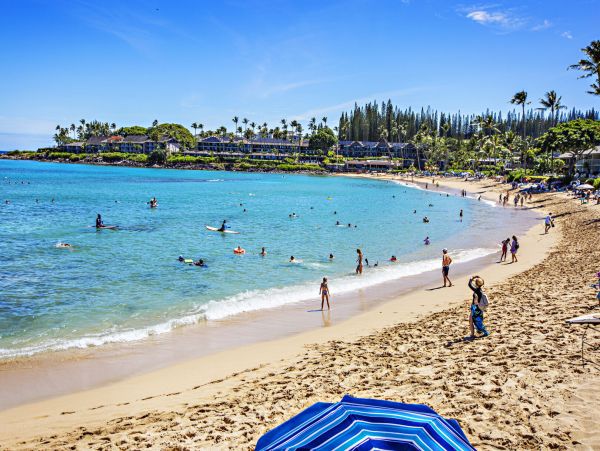 Kahana Home 1055265