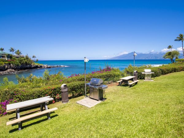 Kahana Home 1055266