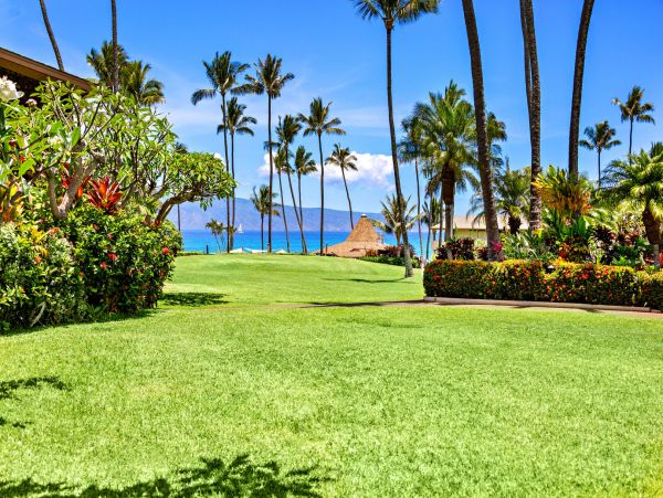 Kahana Home 1055273