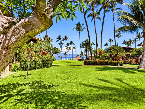 Kahana Home 1055273