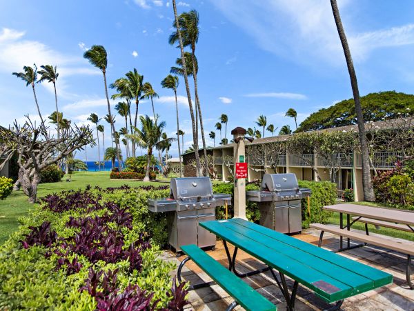 Kahana Home 1055273