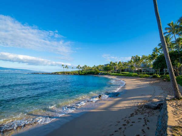 Kahana Home 1055273