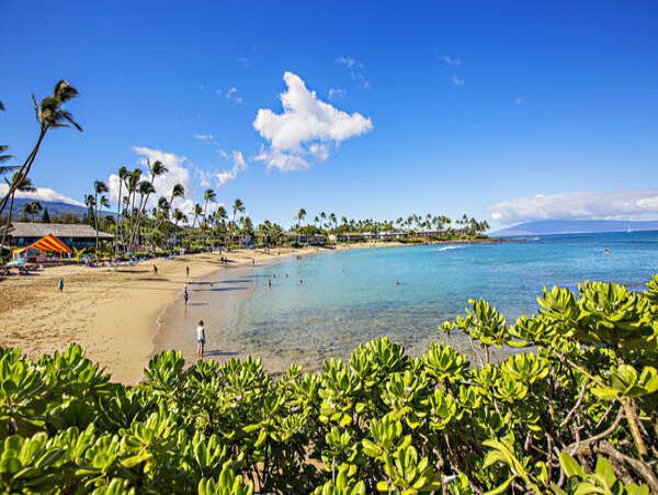 Kahana Home 1055273