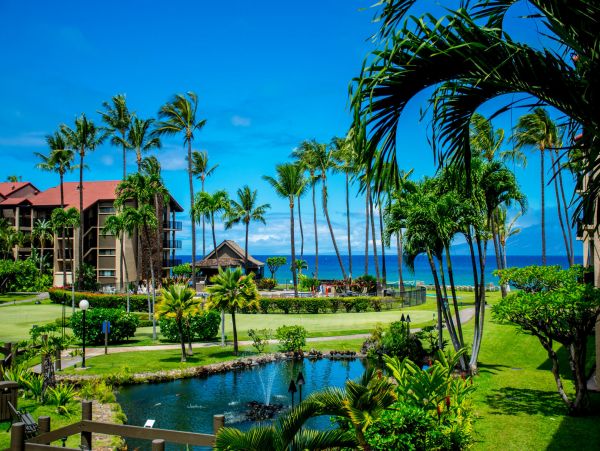 Kahana Home 1055275