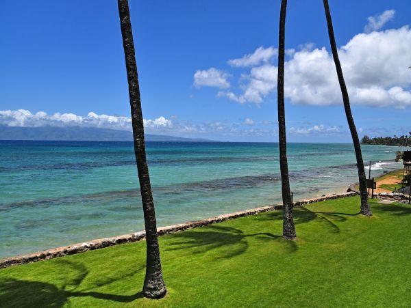 Kahana Home 1055277