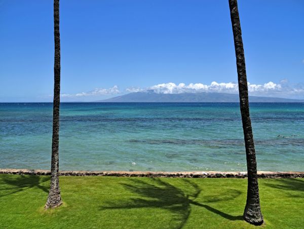 Kahana Home 1055277