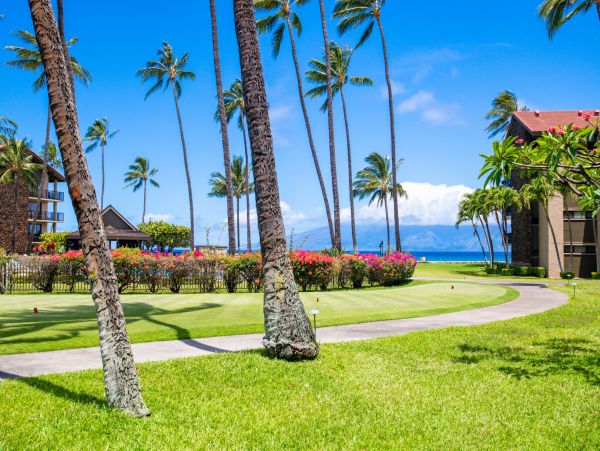 Kahana Home 1055283