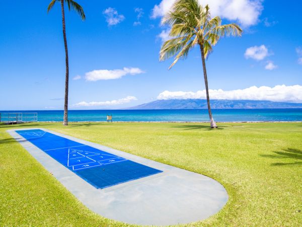 Kahana Home 1055293