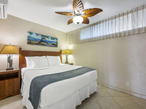 Kahana Home 1055294