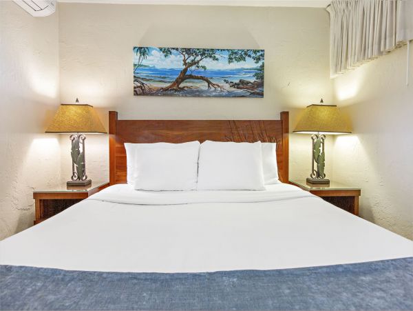 Kahana Home 1055294