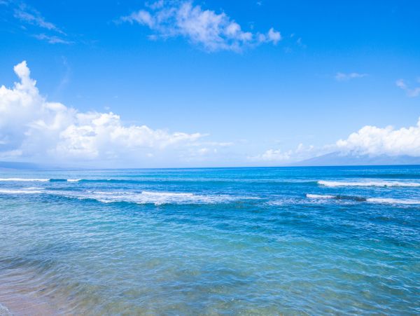 Kahana Home 1055302