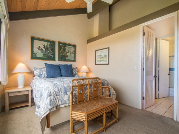 Kahana Home 1055304