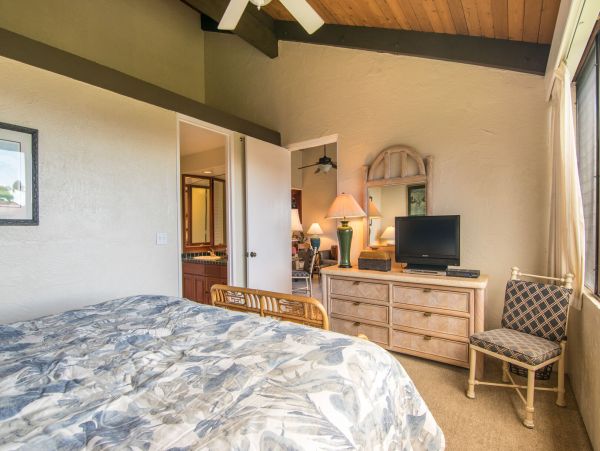 Kahana Home 1055304