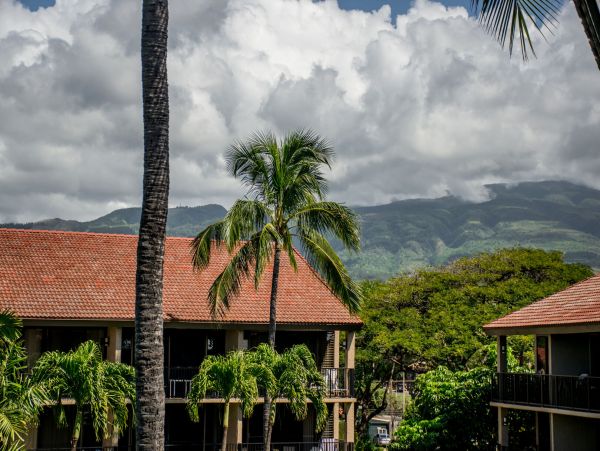 Kahana Home 1055304