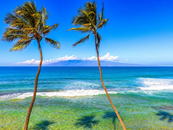 Kahana Home 1055312