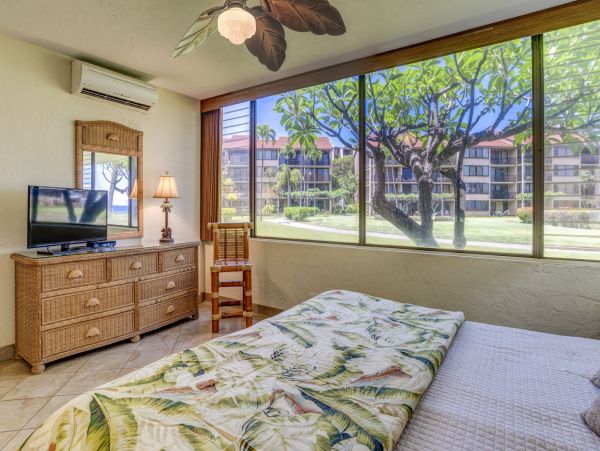 Kahana Home 1055313