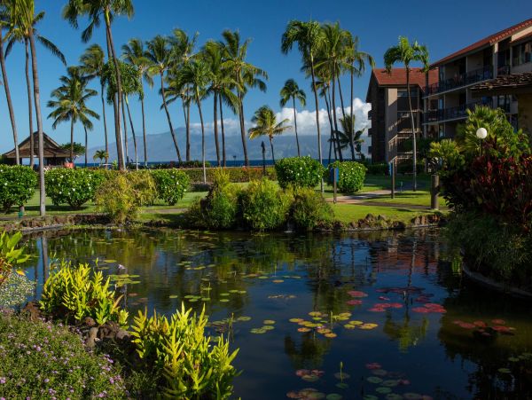 Stunning Ocean View Condo in Kaanapali - Your Ideal Hawaii Retreat