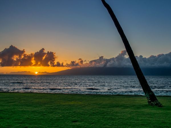 Kahana Home 1055315