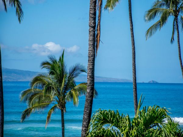 Ocean & Mountain Views Vacation Rental in Kahana