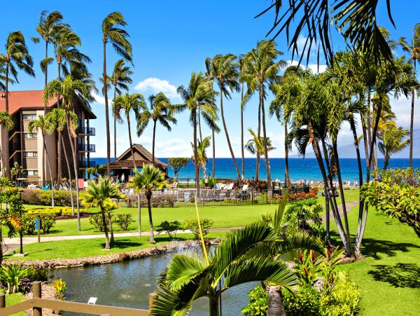 Beachy Condo Garden and Ocean Views
