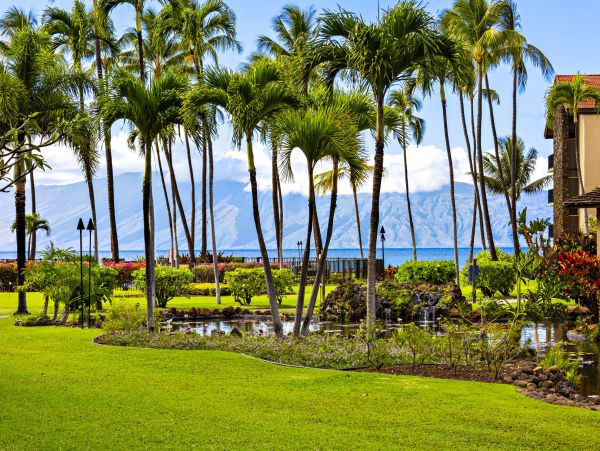 Kahana Home 1055326