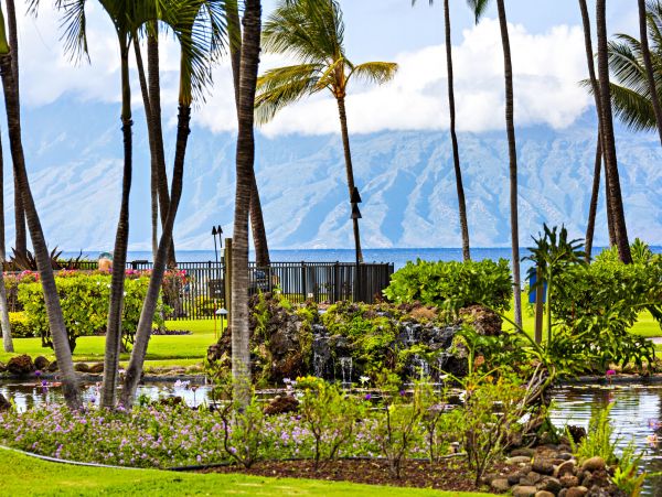 Kahana Home 1055326