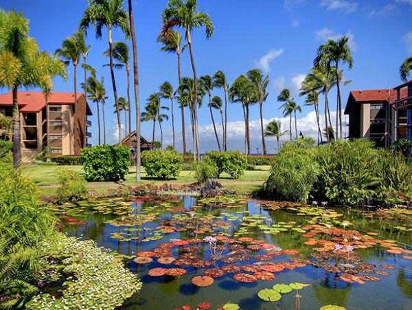 Ocean Views From Maui beach Condo