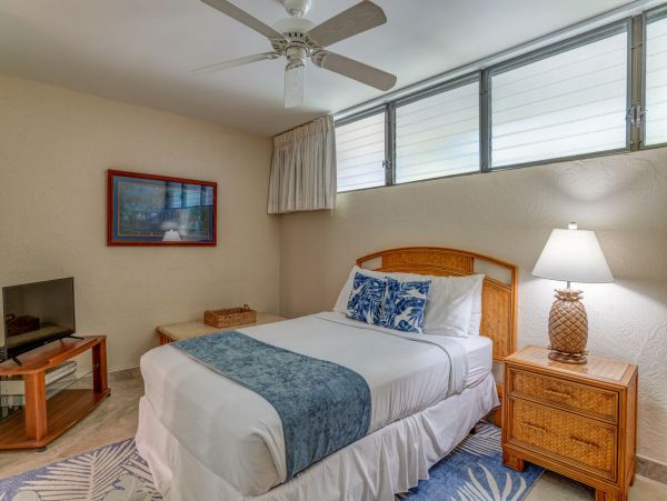 Kahana Home 1055333
