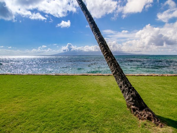 Kahana Home 1055333