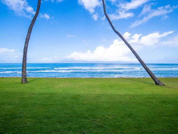 Three Bedroom Condo Maui Sleeps Eight Guests