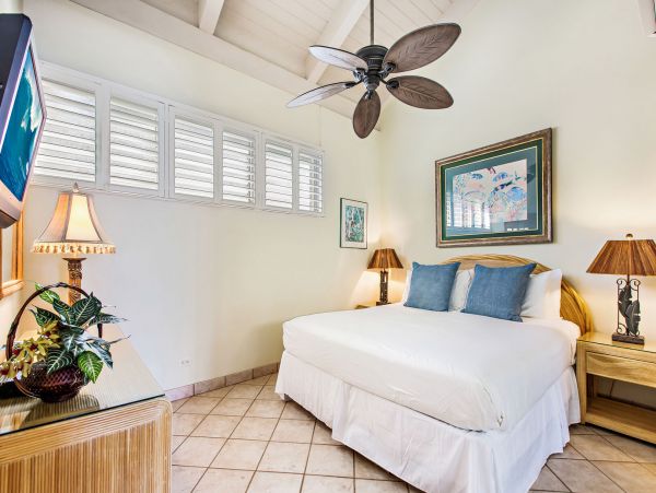 Kahana Home 1055336