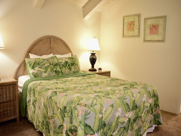 Kahana Home 1055336
