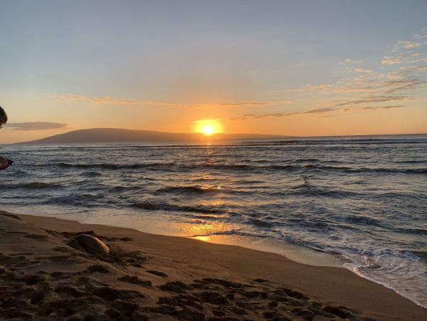 Kahana Home 1055344