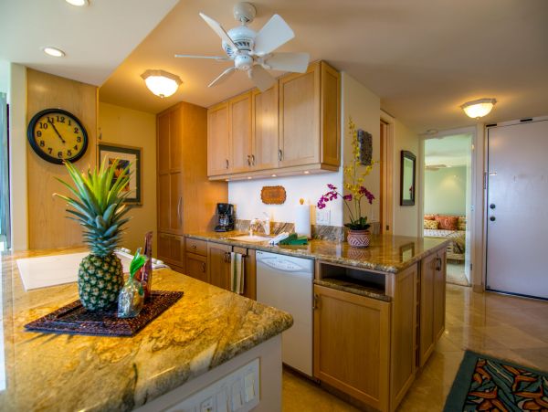 Kahana Home 1055356