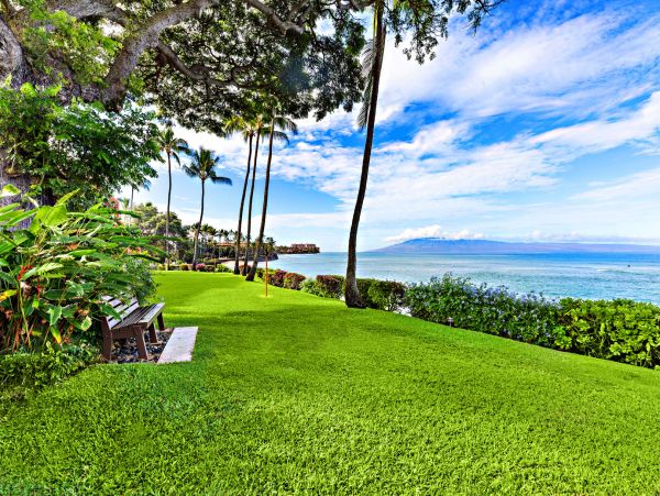 Kahana Home 1055359